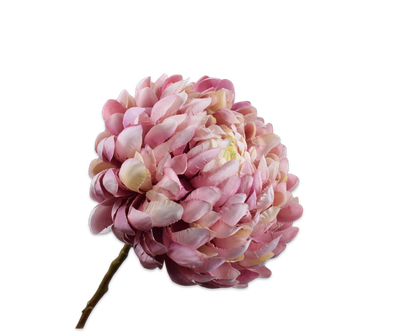 Silk-ka Chrysant tak lavendel/creme 64 cm