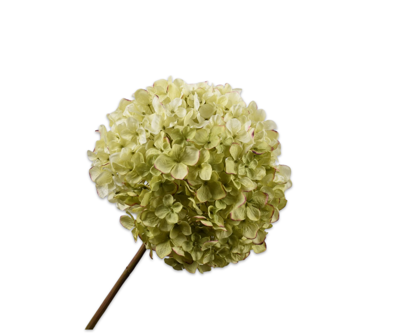 Silk-ka Hortensia tak groen/roze 79 cm