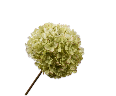 Silk-ka Hortensia tak groen/roze 79 cm