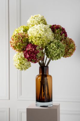 Silk-ka Hortensia tak beauty 79 cm