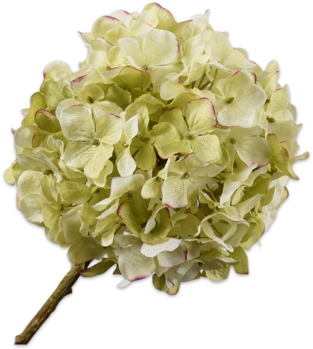 Silk-ka Hortensia tak groen/roze 70 cm