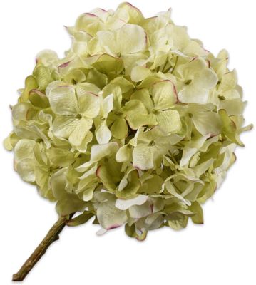 Silk-ka Hortensia tak groen/roze 70 cm