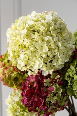 Silk-ka Hortensia tak groen/roze 70 cm