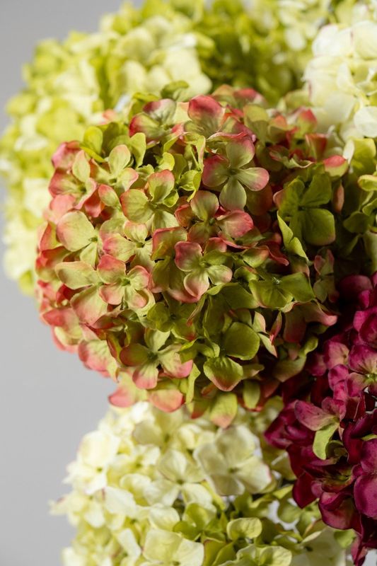 Silk-ka Hortensia tak groen/roze 70 cm