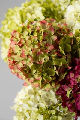 Silk-ka Hortensia tak groen/roze 70 cm