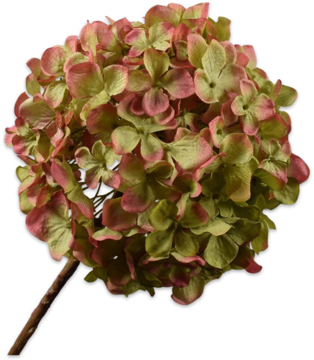 Silk-ka Hortensia tak groen/roze 70 cm