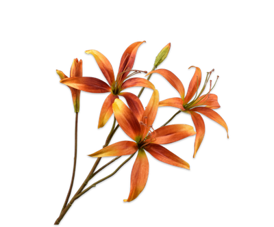 Silk-ka Lelie tak oranje/geel 80 cm