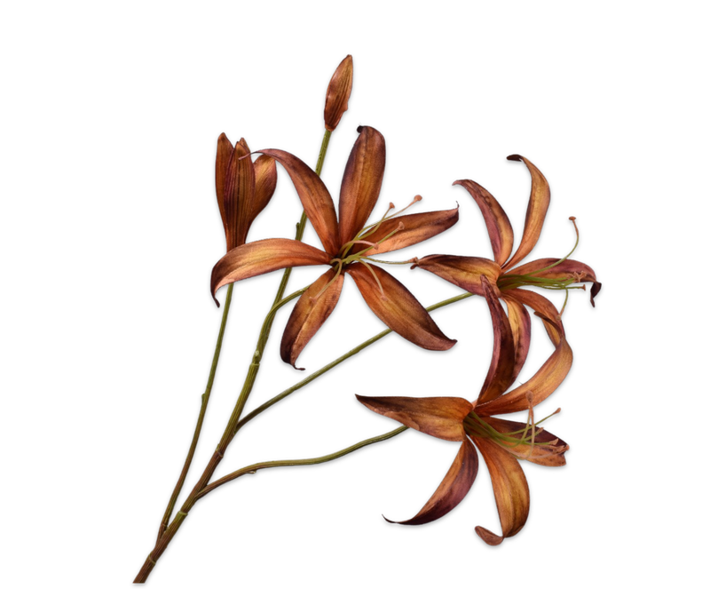 Silk-ka Lelie tak bruin/groen 80 cm