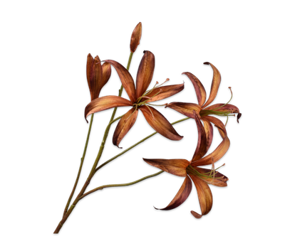 Silk-ka Lelie tak bruin/groen 80 cm