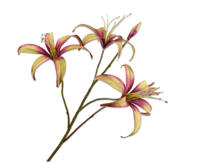 Silk-ka Lelie tak paars/groen 80 cm