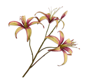 Silk-ka Lelie tak paars/groen 80 cm