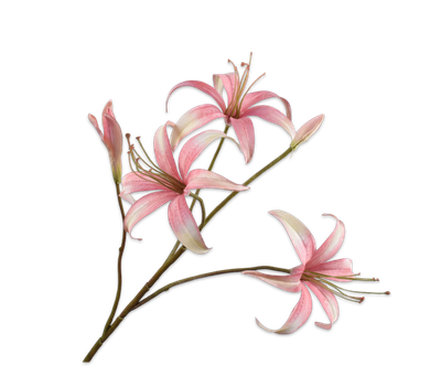 Silk-ka Lelie tak roze/creme 80 cm