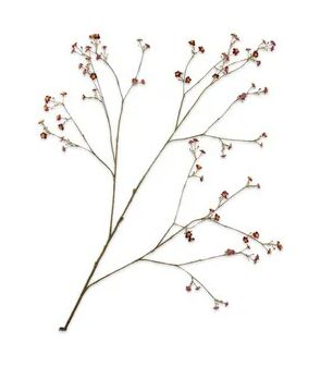 Silk-ka Vergeetmeniet tak paars 132 cm