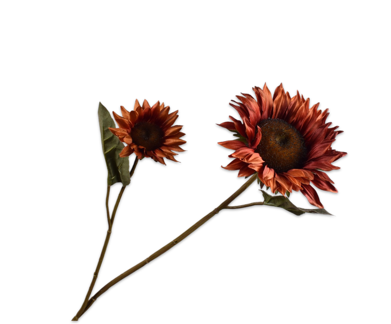 Silk-ka Zonnebloem tak bruin 75 cm