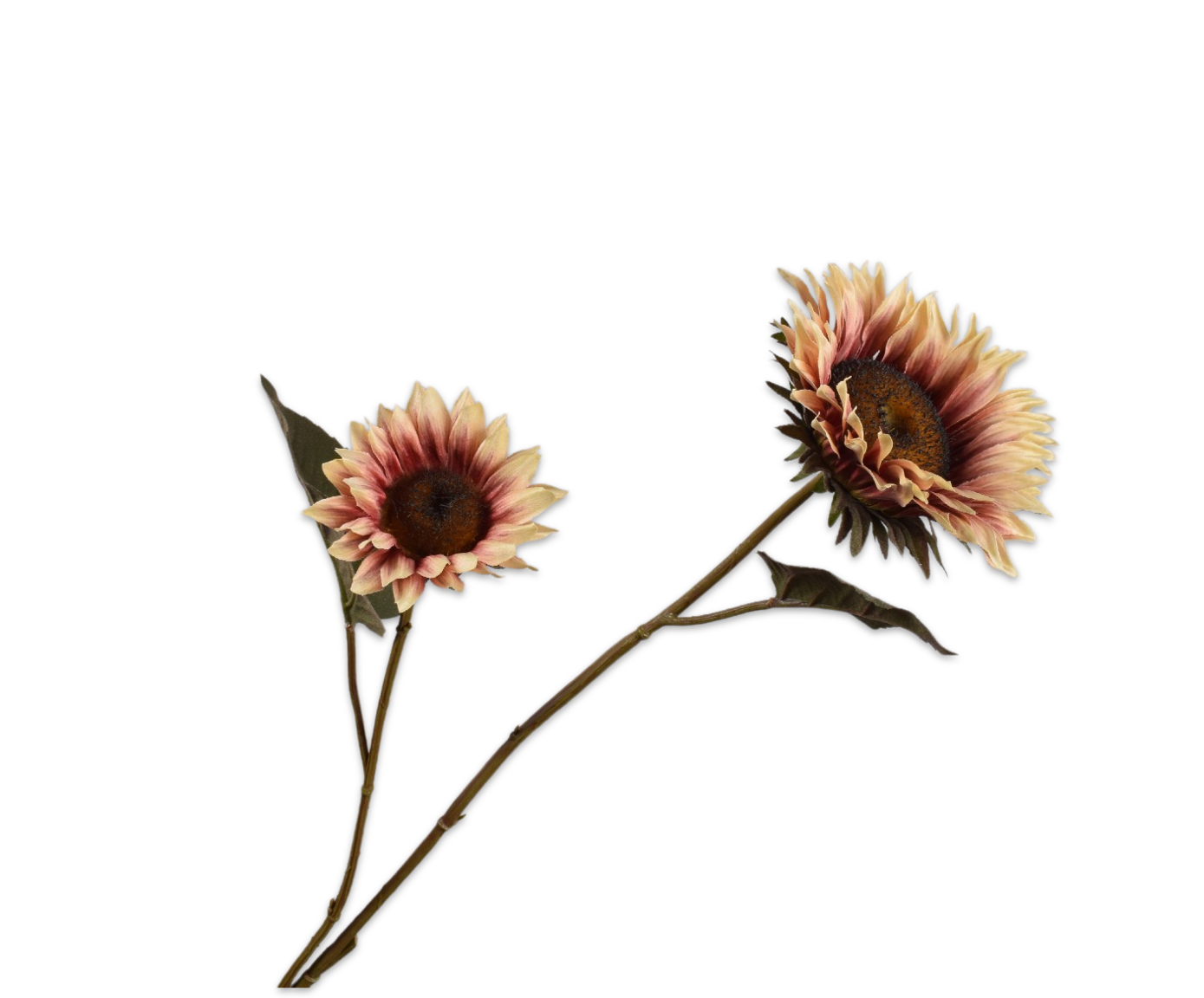 Silk-ka Zonnebloem tak creme/rood 75 cm