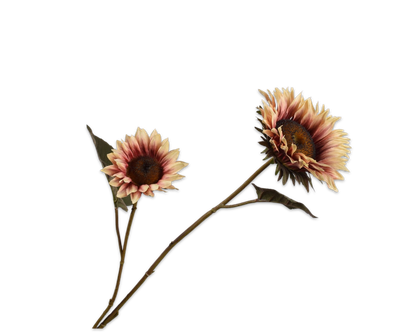 Silk-ka Zonnebloem tak creme/rood 75 cm