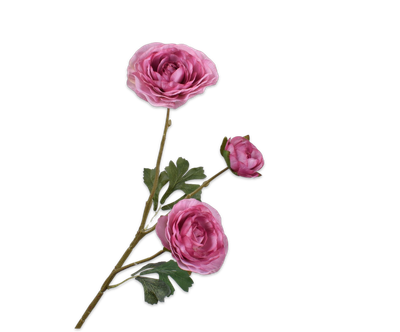 Silk-ka Ranonkel tak paars 46 cm