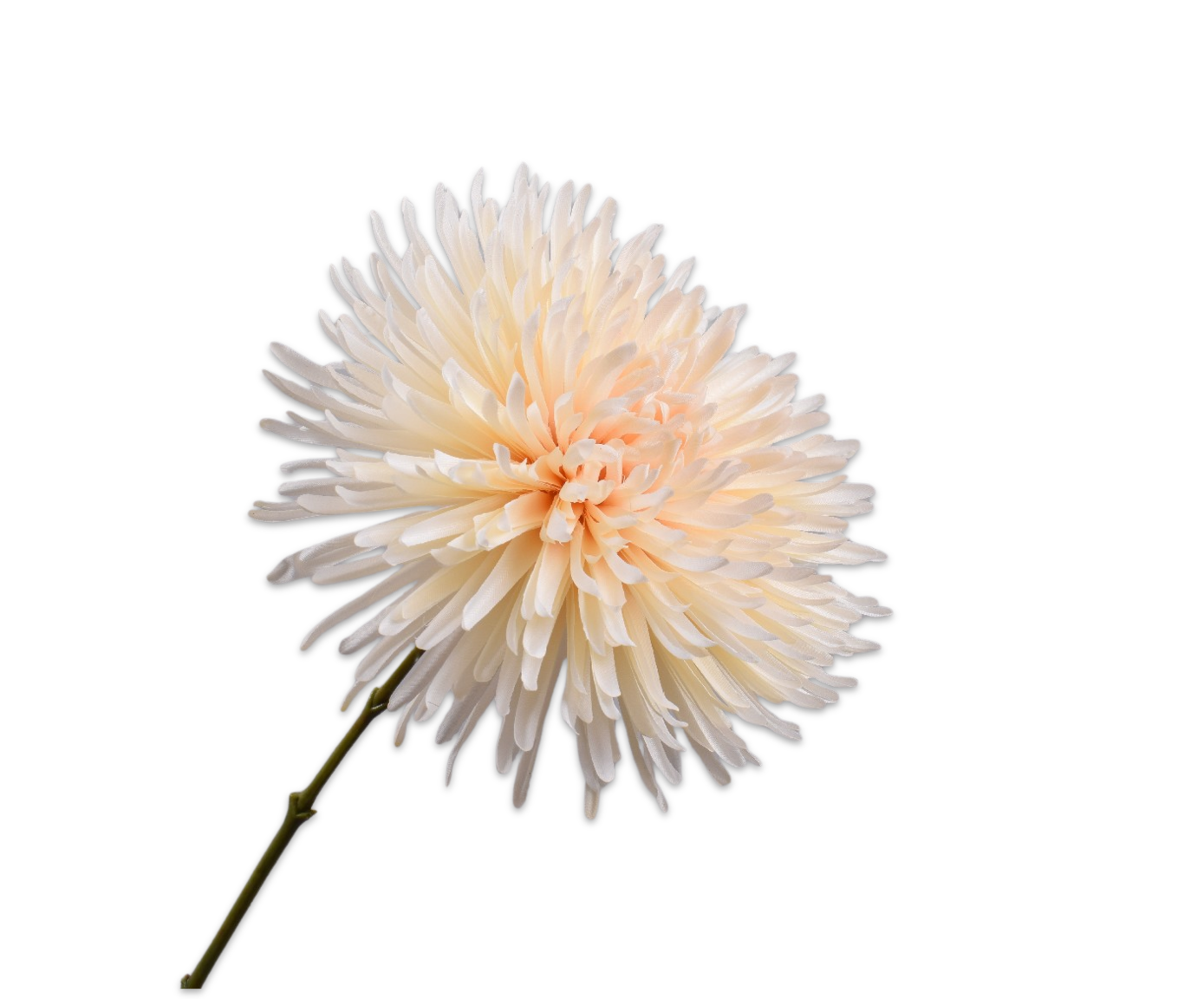 Silk-ka Chrysant tak creme 60 cm