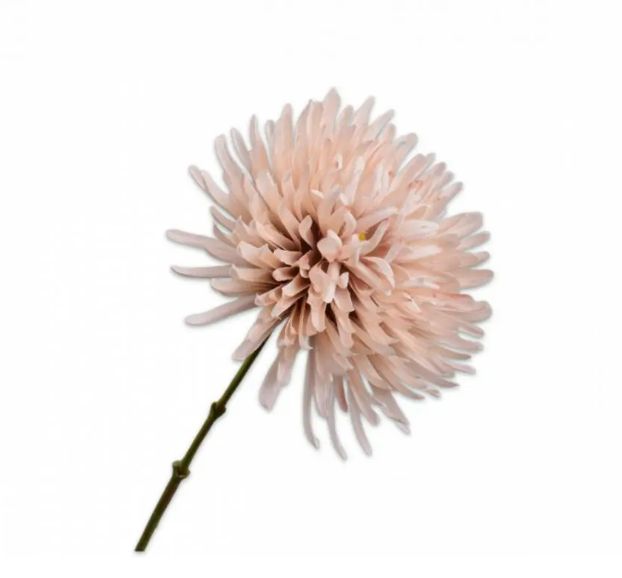 Silk-ka Chrysant tak beige 60 cm