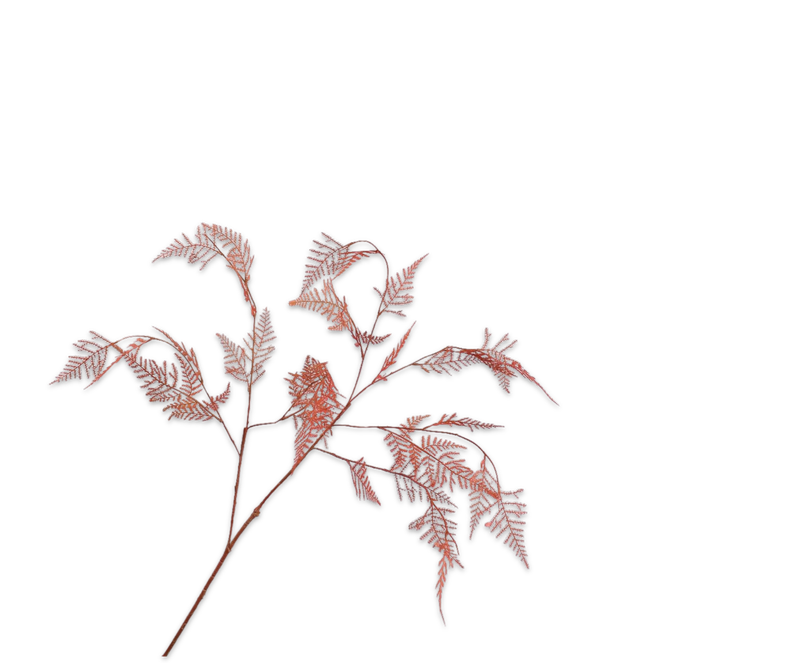 Silk-ka Asparagus tak oranje/bruin 113 cm