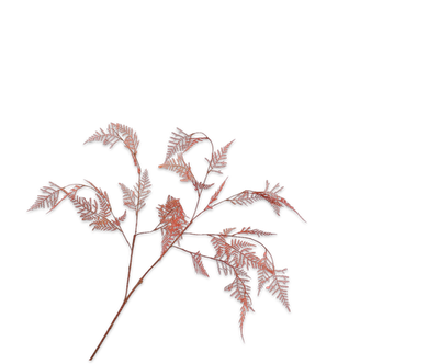 Silk-ka Asparagus tak oranje/bruin 113 cm