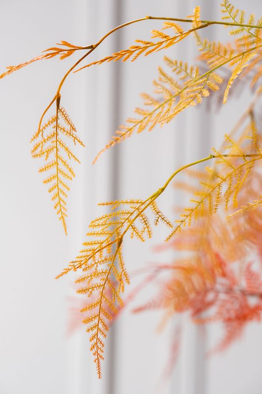 Silk-ka Asparagus tak oranje lt 113 cm