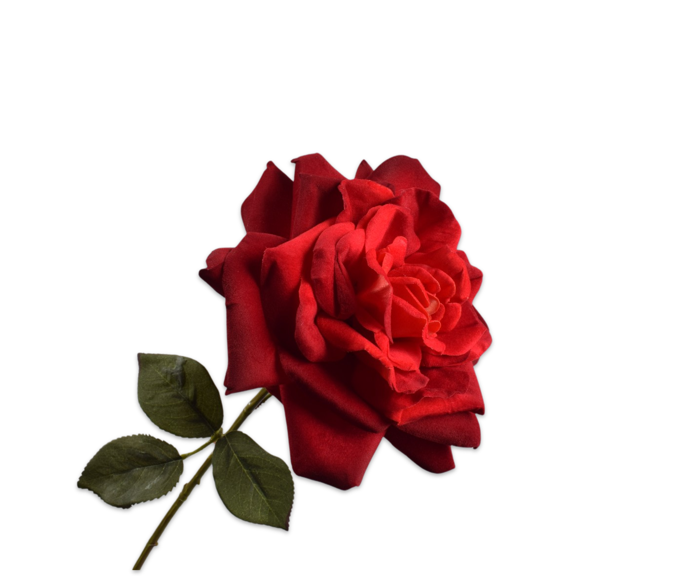 Silk-ka Roos tak rood 65 cm