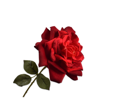 Silk-ka Roos tak rood 65 cm