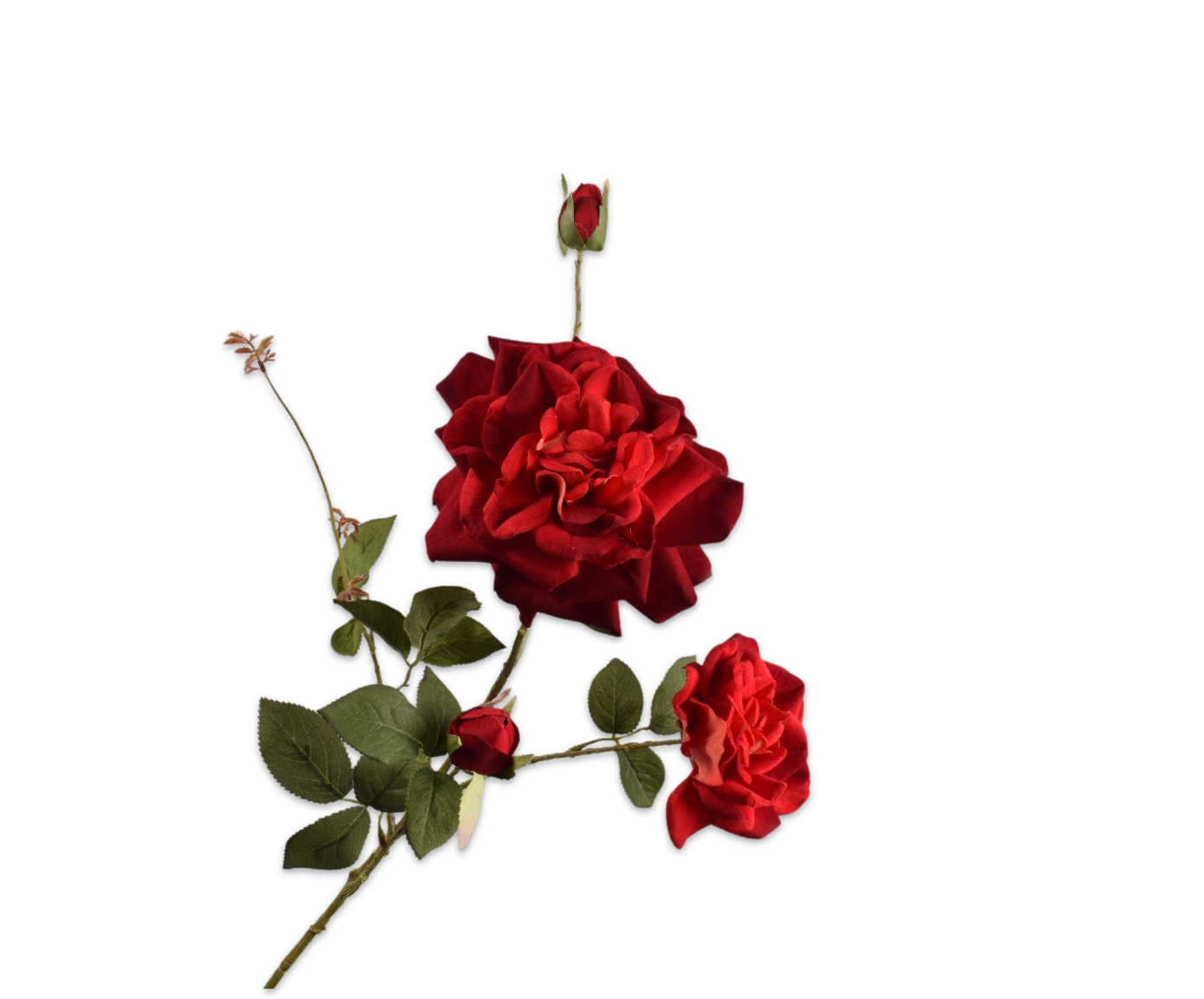 Silk-ka Roos tak rood 102 cm