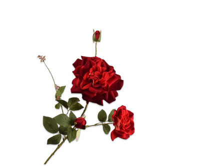 Silk-ka Roos tak rood 102 cm