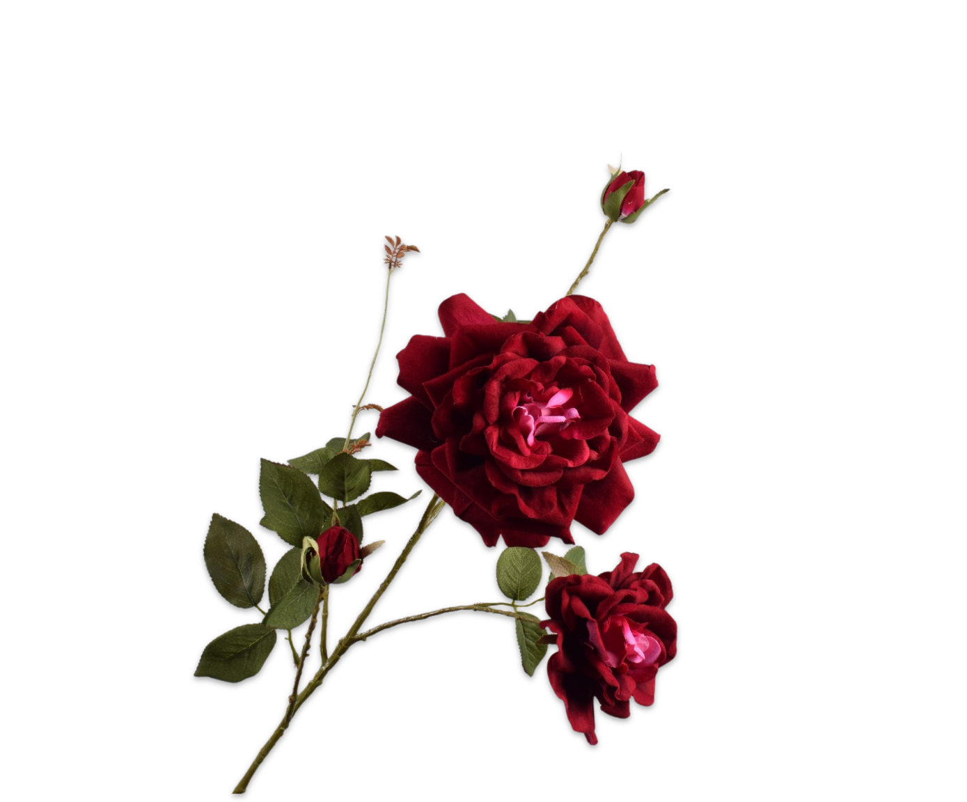 Silk-ka Roos tak burgundy 102 cm