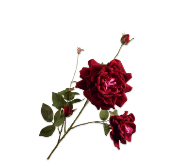 Silk-ka Roos tak burgundy 102 cm