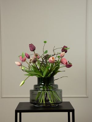 Tulip Mauve Chari XS