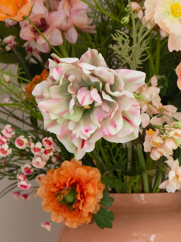 Peachy Rose L
