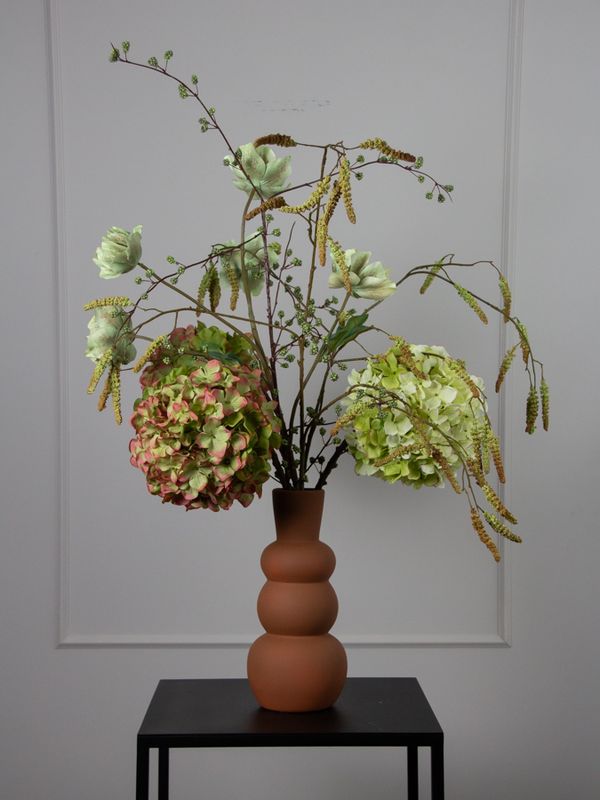 Mocca Hortensia S