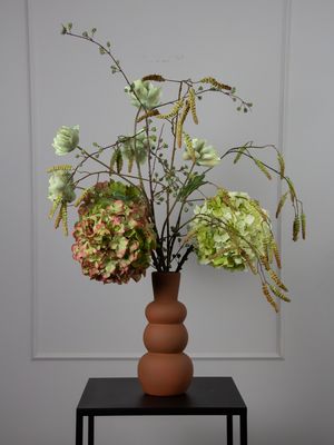 Mocca Hortensia S