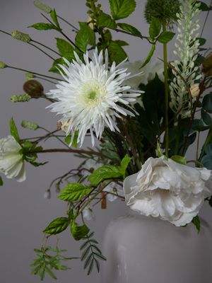 Ivory Neutral S