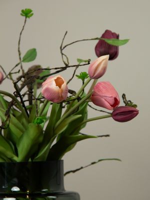 Tulip Mauve Chari XS