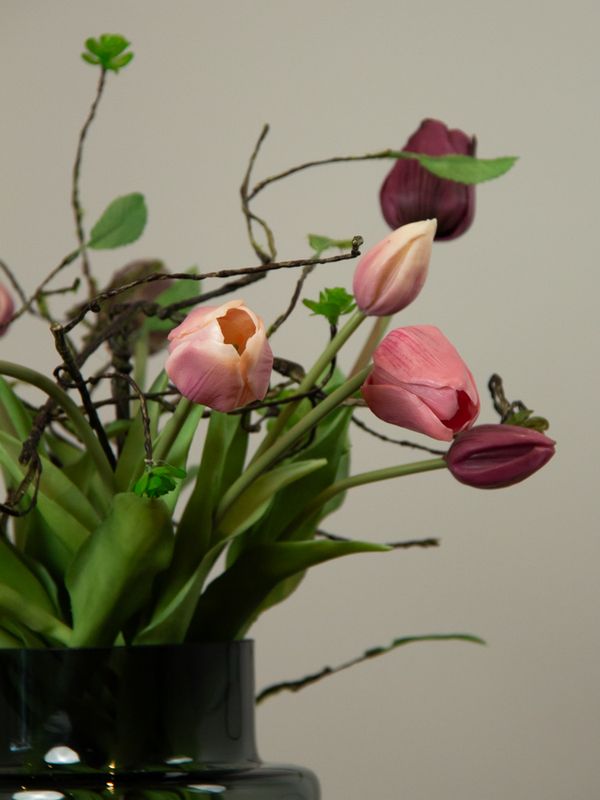 Tulip Mauve Chari XS