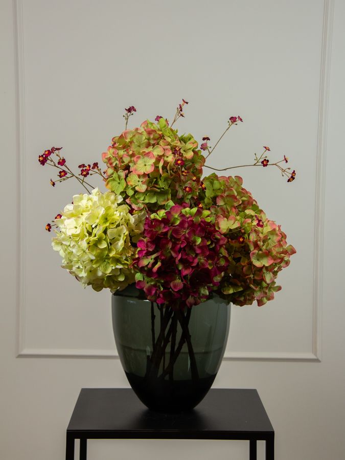 Hydrangea Cloud M