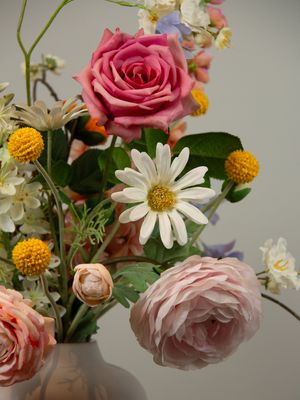 Daisy Bejanca S