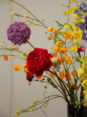 Colorful Happiness Kimi S