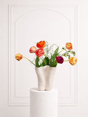 Tulip Curve S