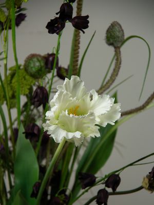 Silent Grace M