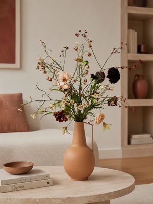 Daily Delight M