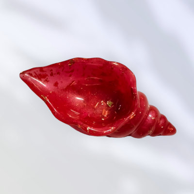 Conch Jewelry Storage Box