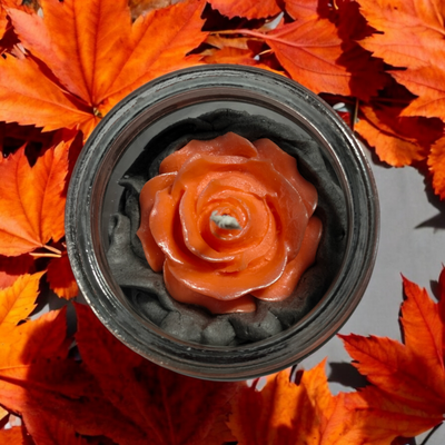 Fall rose 