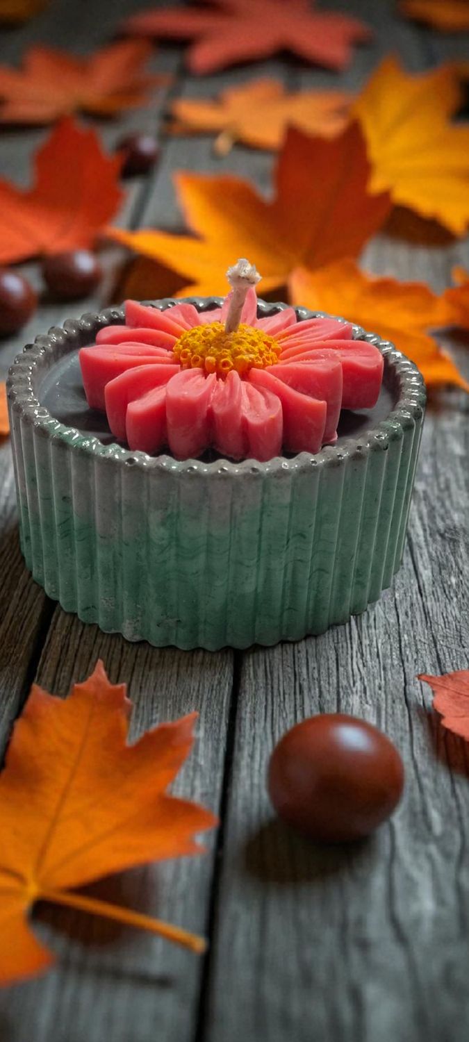 Fallen flower