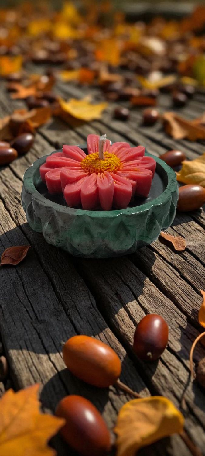 Fallen flower