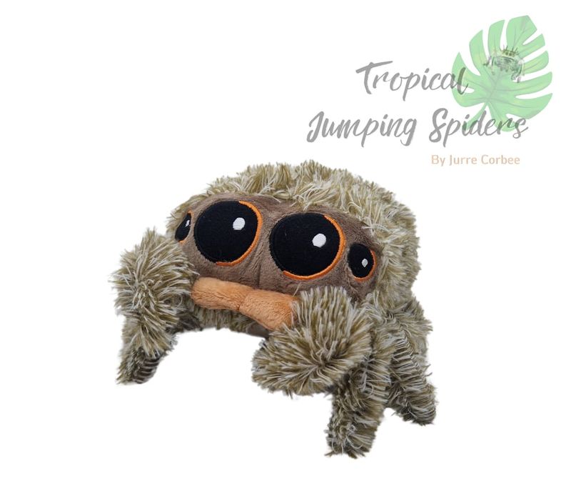 Pluche springspin